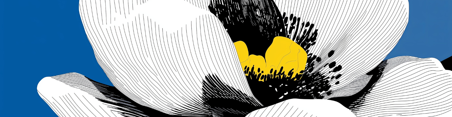 Agence de communication Reims - IMPAAKT