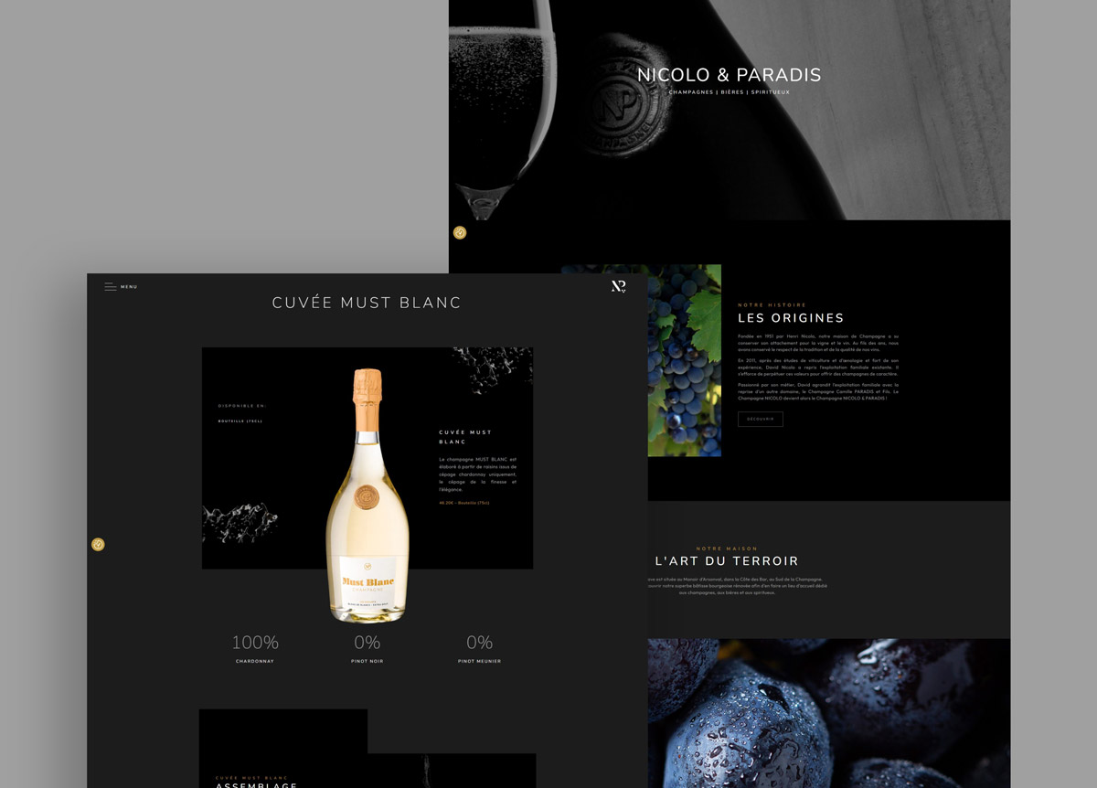 Domaine Nicolo Paradis - Site web