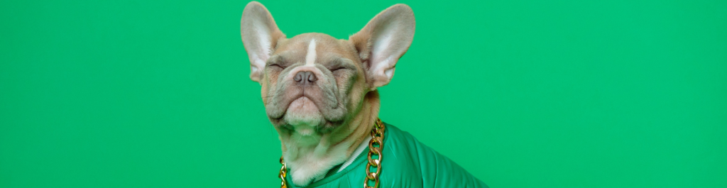 IMPAAKT - La communication non verbale