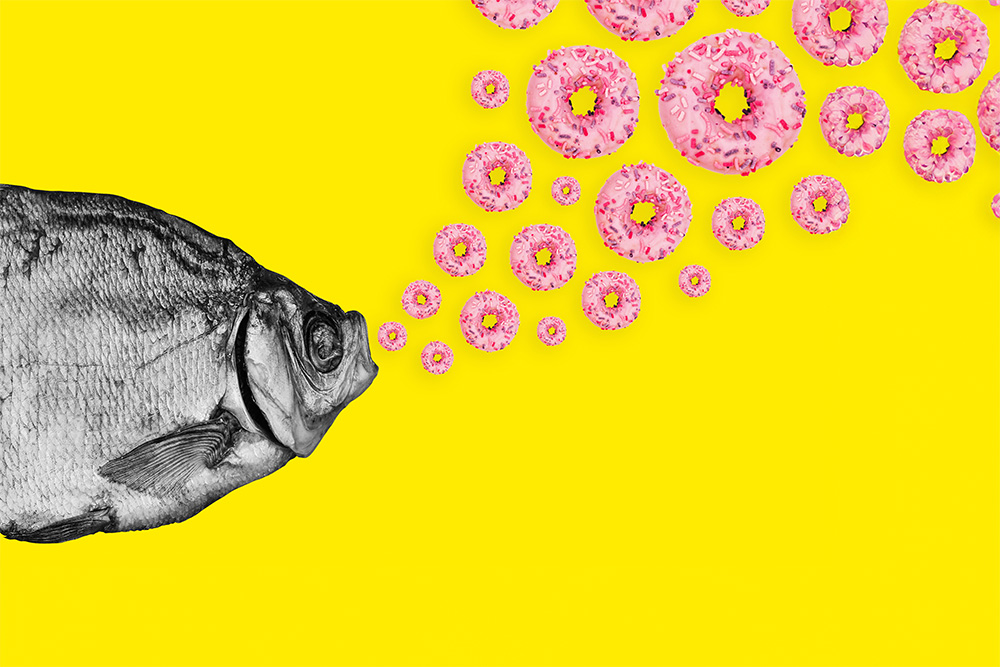 Notre équipe - IMPAAKT