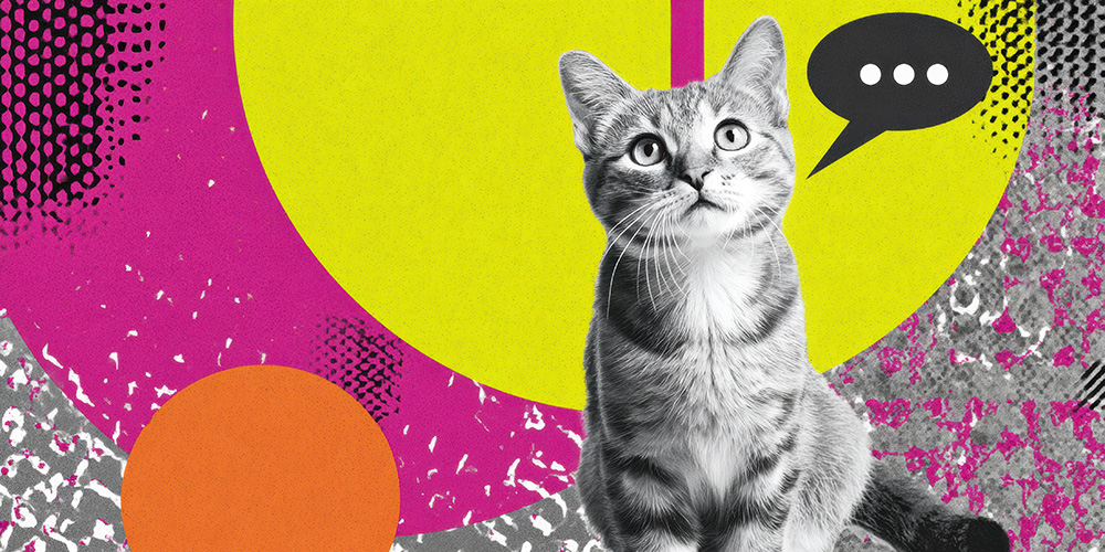 Mentions légales - IMPAAKT