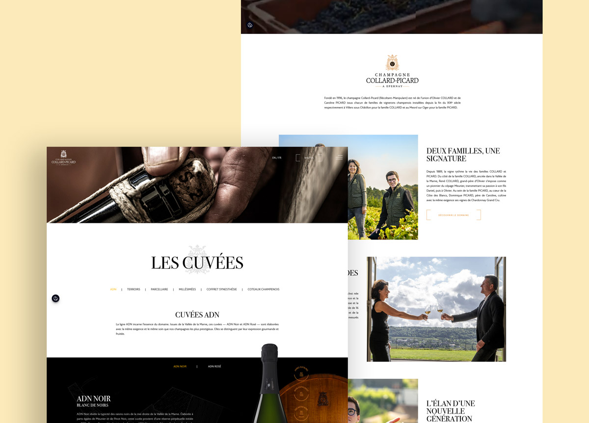 Champagne Collard Picard - Site web