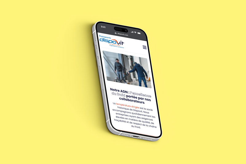 Dispovit - Site responsive